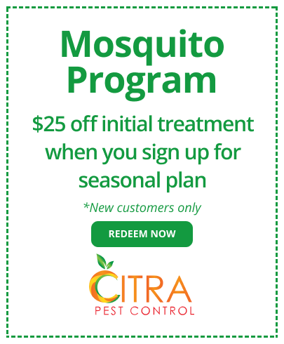 Mosquito Program