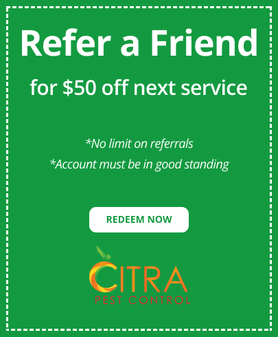 Refer A Friend